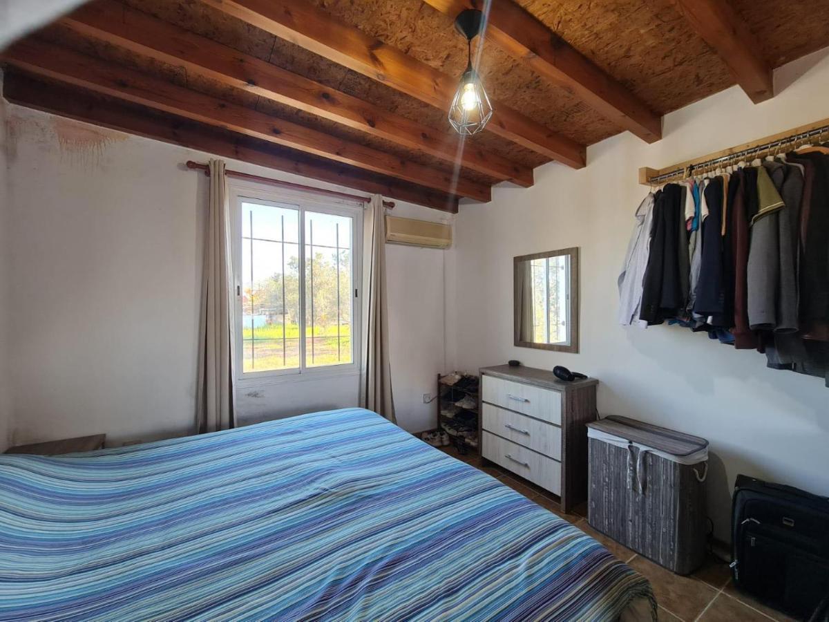 Spacious Studio In Yeroskipou Koloni Eksteriør billede