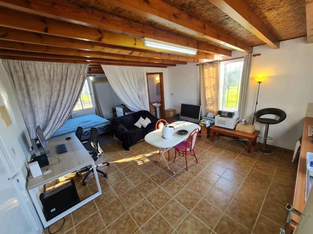 Spacious Studio In Yeroskipou Koloni Eksteriør billede