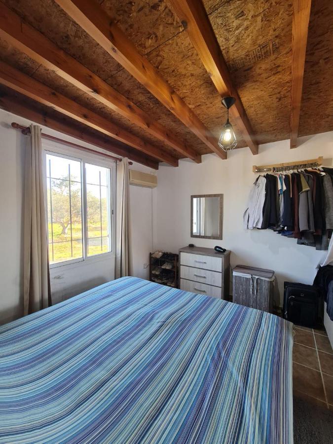 Spacious Studio In Yeroskipou Koloni Eksteriør billede